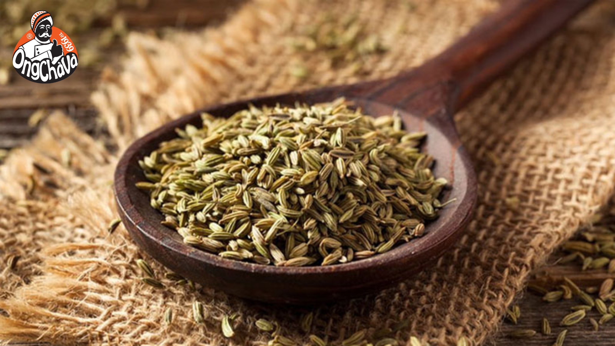 Hạt tiểu hồi (fennel) hỗ trợ hệ tiêu hóa khỏe mạnh, giảm đầy hơi chướng bụng hiệu quả